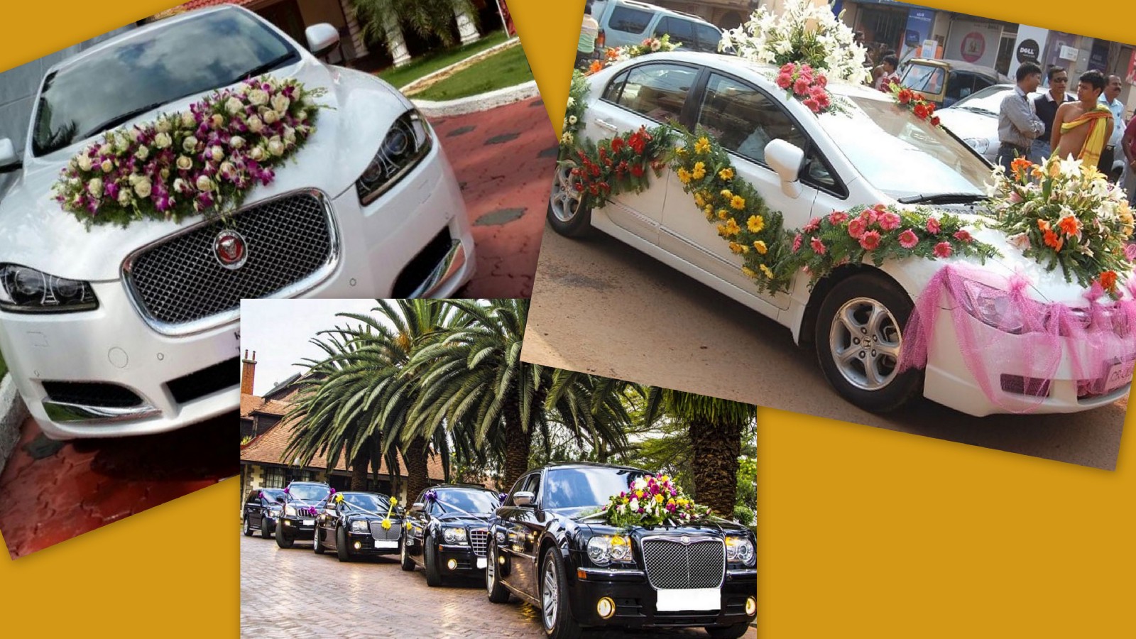 luxury cars for wedding in jaipur